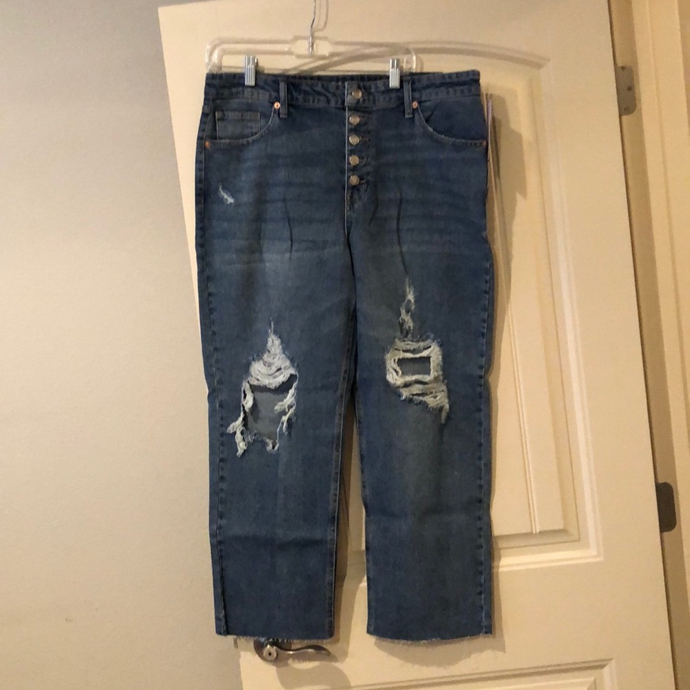 NWT Wild Fable High-Rise Straight Ankle Jeans Size 16